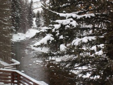 Vail Lionshead Condo 896259